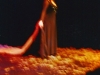 Seed