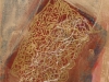 Layers Of The Heart
